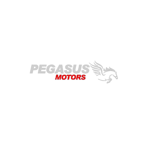 Pegasus