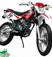 Motocross Fighter 71 Red
